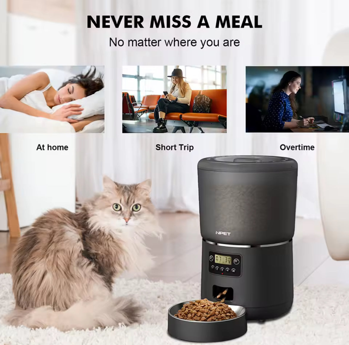 Automatic Pet Feeder
